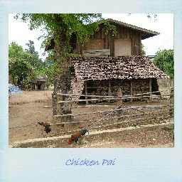 Chicken Pai