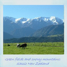 Green fields and snowy mountains: classic New Zealand
